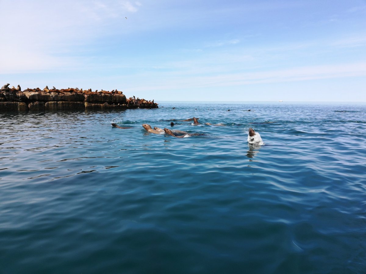 VIP Сахалин и Курильские острова: Загадки Итурупа